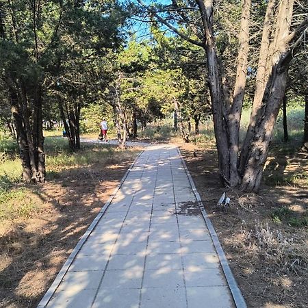 Studio Privat Reea Olimp Exterior foto